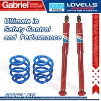 Rear Sport Low Gabriel Guardian Shocks + Lovells Springs for Holden Commodore VZ