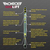 Monroe Tailgate Max Lift Gas Strut for Audi A4 8W5 8WD Wagon FWD AWD 8/15-12/19