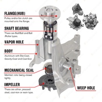 Protex Gold Water Pump for Ford Capri SB SA Laser TX3 SGPL SGPY KE