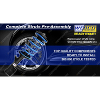 Low Webco PRO complete struts for Holden Commodore VT VX Wagon V6 5.7