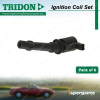 Tridon Ignition Coil Set for FPV Falcon BF RWD Petrol 4.0L 156kW 270kW 2005-2008