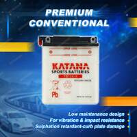 Katana Sports Battery - 12V 150CCA 12Ah for Carter Brothers EZ-502 C EZ-702 C