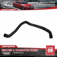 Gates Lower Radiator Hose for Audi A3 8P1 8PA 1.6L 2.0L 75KW 110KW