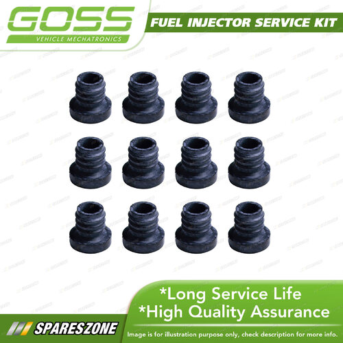 Goss Fuel Injector Repair Kit - Injector Seal Cis Peugeot Pack 12