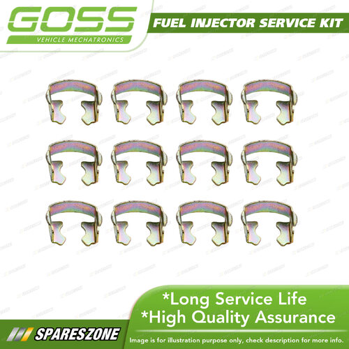 Goss Fuel Injector Service / Repair Kit - Fuel Rail Clip Small Pack 12