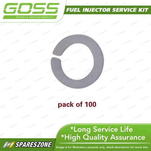 Goss Fuel Injector Service / Repair Kit - Nylon Split Spacer Pack 100