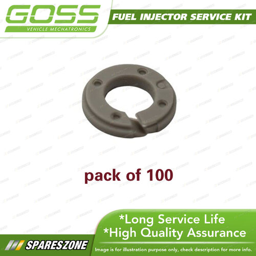 Goss Fuel Injector Service / Repair Kit - Spacer Direct Injection Pack 100