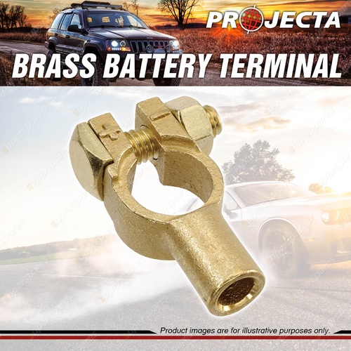 Projecta Brass Battery Terminal Universal - Crimp End Entry Blister of 1