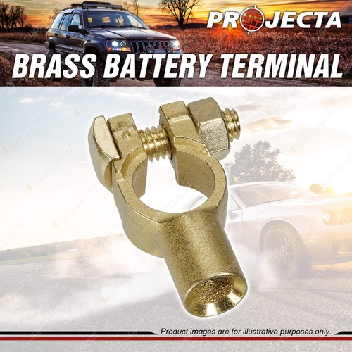 Projecta Brass Battery Terminal Suit Cable 35-50 sq.m Crimp End Entry Blister 1