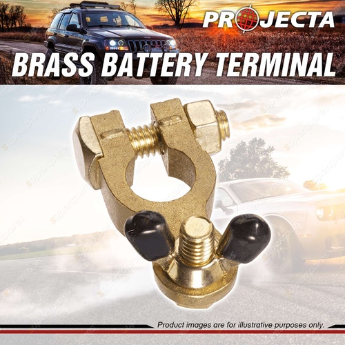 Projecta 5/16" 8mm Brass Batttery Terminal Negative - Wingnut Blister of 1