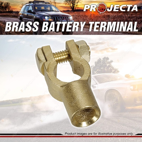 Projecta Brass Battery Terminal - Heavy Duty Crimp End Entry Blister of 1