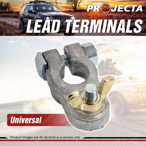 Projecta Wingnut Lead Terminal - Stud Size 5/16 inch 8mm Premium Quality