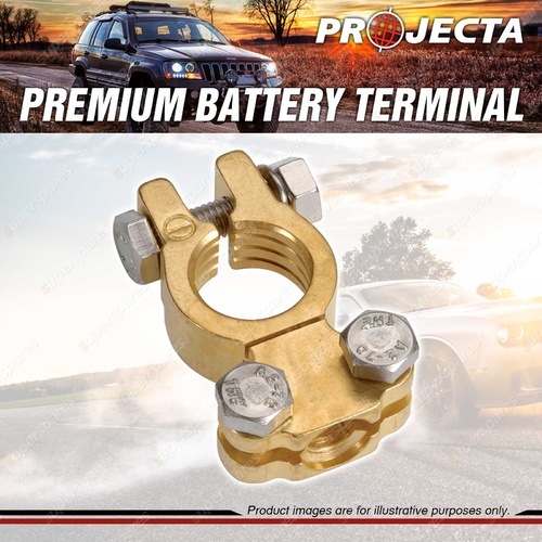 Projecta Premium Battery Terminal Negative - Forged Brass Saddle Blister of 1