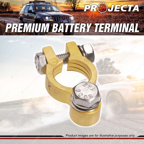 Projecta Premium Battery Terminal Positive - Forged Brass Bolt Blister of 1