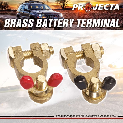 Projecta 5/16" 8mm Brass Batttery Terminal Wingnut Blister Positive + Negative