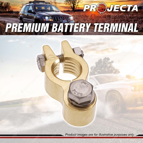 Projecta Forged Brass Heavy Duty Bolt Brass Terminal - Negative Premium Quality