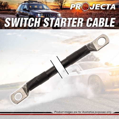 Projecta Switch Starter 250mm Length Cable 3 B & S 25mm X 25mm Premium Quality