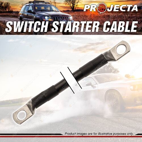 Projecta Switch Starter 300mm Length Cable 3 B & S 25mm X 25mm Premium Quality