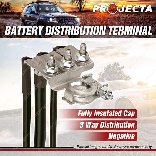 Projecta Brand Battery Distribution Terminal Negative Premium Quality