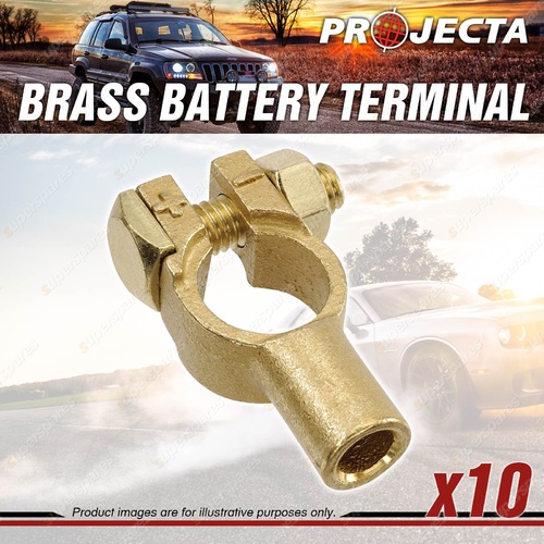 Projecta Brass Battery Terminal Universal - Crimp End Entry Box of 10