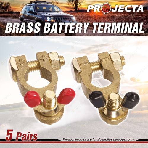 Projecta 5/16" 8mm Brass Batttery Terminal Wingnut 5 Pairs Positive and Negative