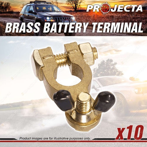 Projecta 5/16" 8mm Brass Batttery Terminal Negative - Wingnut Box of 10