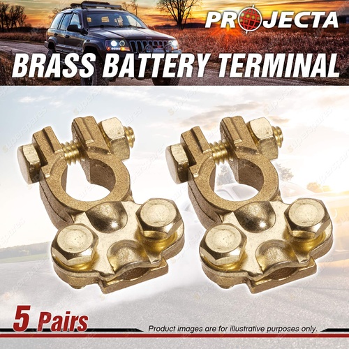 Projecta Brass Battery Terminal for Small Japanese Battery Posts Pos and Neg