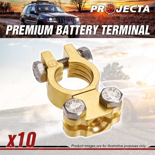 Projecta Premium Battery Terminal Positive - Forged Brass Saddle Box of 10