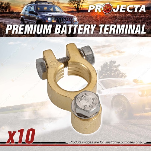 Projecta Premium Battery Terminal Negative - Forged Brass Bolt Premium Quality