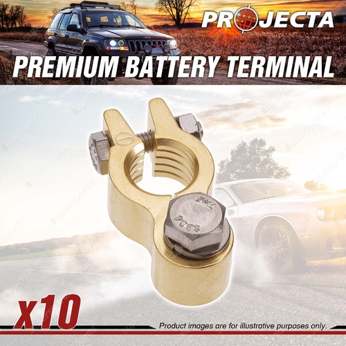 Projecta Forged Brass Heavy Duty Bolt Brass Terminal Negative Premium Quality