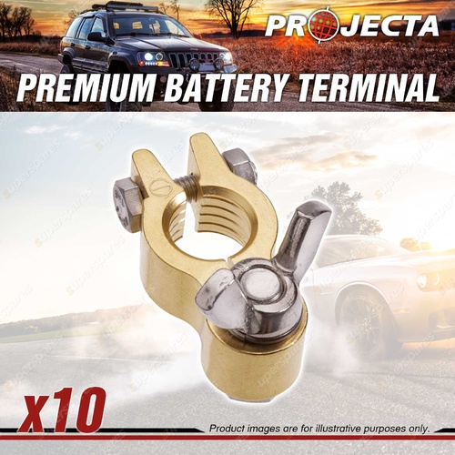 Projecta 3/8" 10mm Forged Brass HD Wingnut Battery Terminal Negative Pack 10