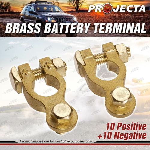 Projecta 5/16" 8mm Brass Battery Terminal Positive + Negative Bolt 2 Boxes