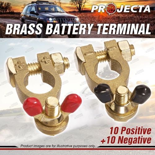 Projecta 5/16" 8mm Brass Batttery Terminal Positive + Negative Wingnut 2 Boxes