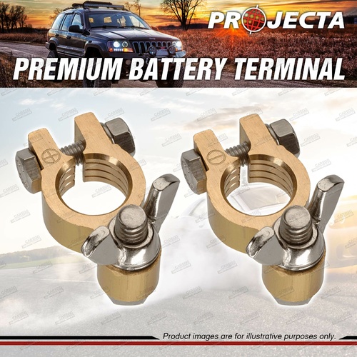 Projecta Forged 5/16" 8mm Brass Wingnut Battery Terminal Positive + Negative