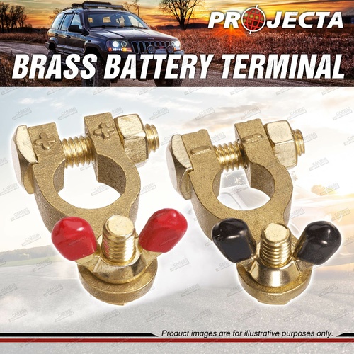 Projecta 5/16" 8mm Brass Batttery Terminal Positive + Negative Wingnut Blister